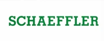 Schaeffler - selected organization and project experience
